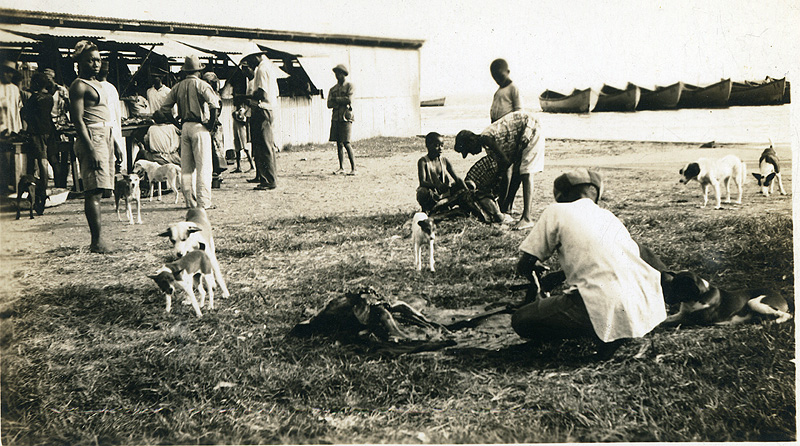 Walter Logan Fry meat market in Monrovia commerce trade in Liberia men dogs slaughter boats food 1934 1935